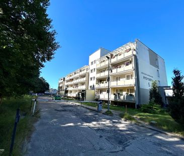 Grudziądz Mieszkanie na wynajem - Photo 3