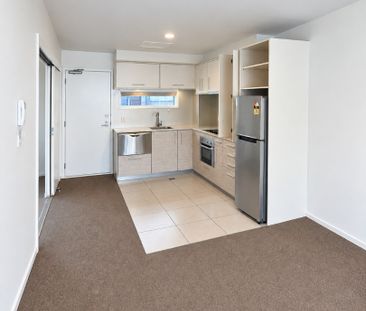 Albany - Modern apartment in great location - Photo 4