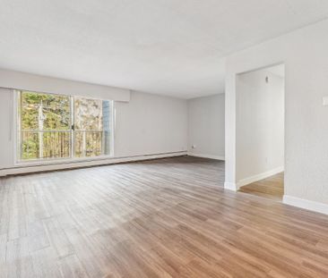 Niagara Court Apartments - Bachelor - Photo 5
