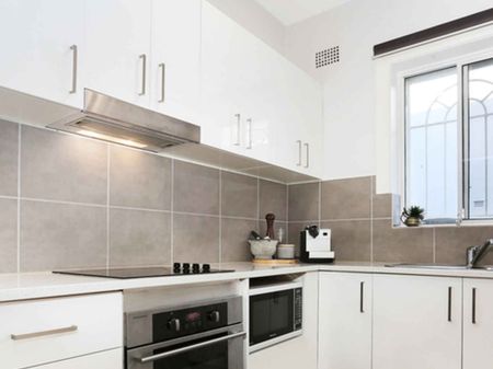 Renovated One Bedroom Apartment in Kingsford - Photo 4