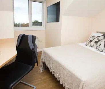 Gold 5 Bed Ensuite - Photo 6