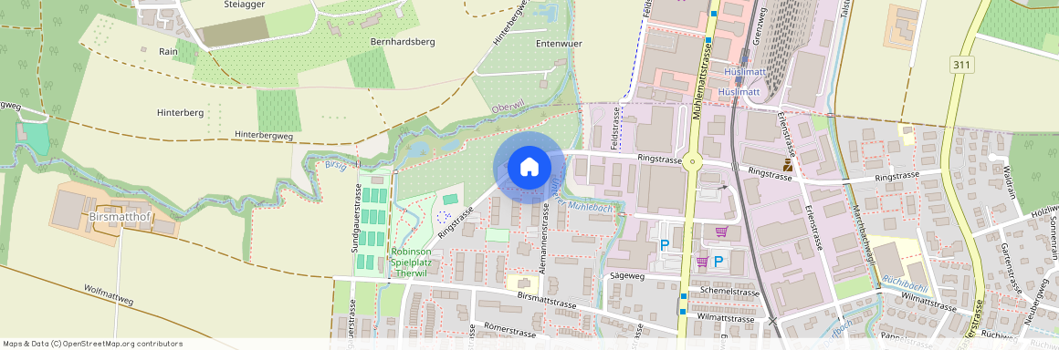 Alemannenstr. 19, 4106 Therwil