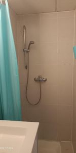 Location Appartement 1 pièce 17m² ST SAULVE 59880 - Photo 3