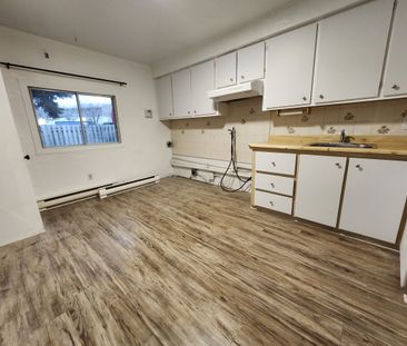 527 Rue Lepailleur - Photo 4