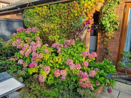 2 bedroom semi-detached house to rent - Photo 4