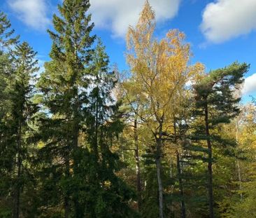 Terapivägen, Huddinge - Photo 5