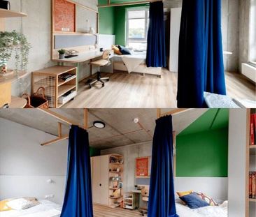 Pokój, Aleja Pokoju - Фото 2