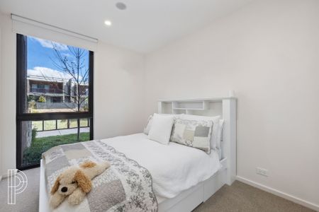 Light-Filled Two-Bedroom Retreat in Denman Prospect - Photo 5