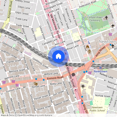 117 Chelmsford Street Newtown, NSW 2042