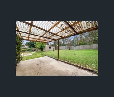 Quite the charmer! - Photo 3