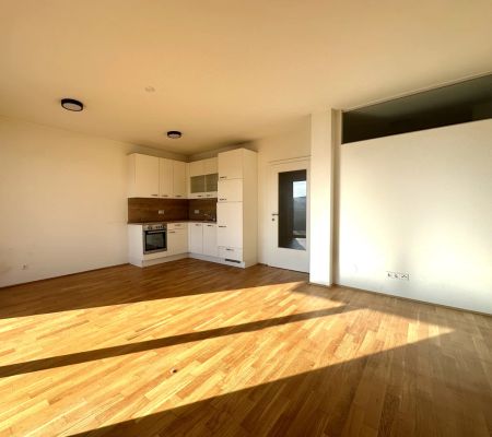 TOP LAGE Puntigam | NEUBAUWOHNUNG | samt Carportstellplatz und Balkon - Foto 3