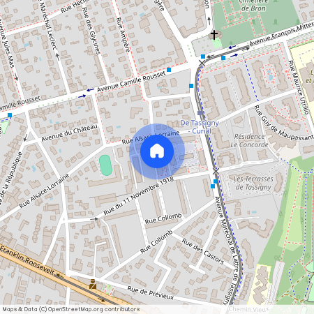 33 Rue du 11 Novembre 1918, 69500, Bron