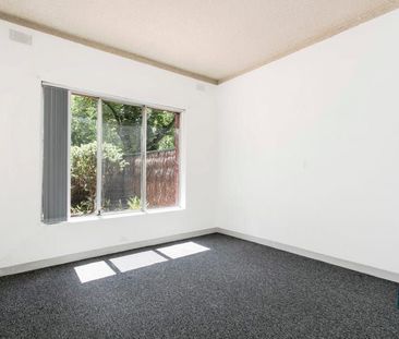 Two bedroom ground floor unit in St Peters - Photo 6