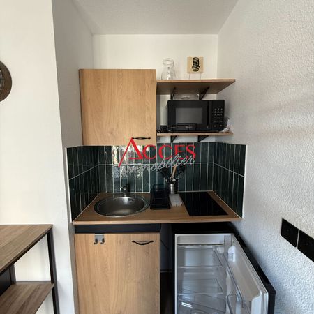 Location Appartement 1 pièce 19m² - Photo 3