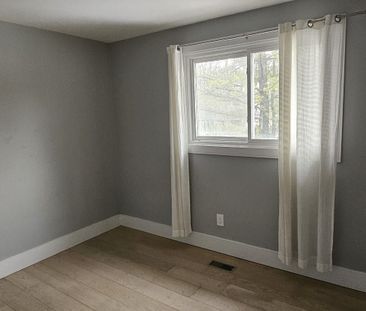 For Lease - 289 Emerald Isle Court, Richmond Hill, Ontario - Photo 3