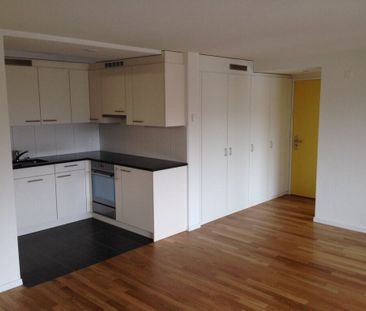 1.5-Zimmerwohnung im Pestalozzipark - Photo 2