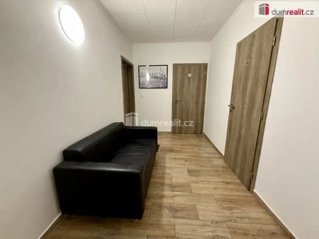 Pronájem, byt 2+kk, Mariánské Lázně-Hamrníky - Fotografie 4