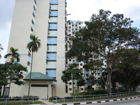 Blk 157 Meiling Heights (Queenstown), HDB 3 Rooms - For Rent - Photo 4