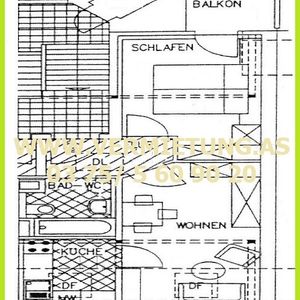 Ab ins neue Zuhause - Foto 3