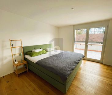 DREAMLIKE VIEW OF THE WILDEGG CASTLE - Photo 2