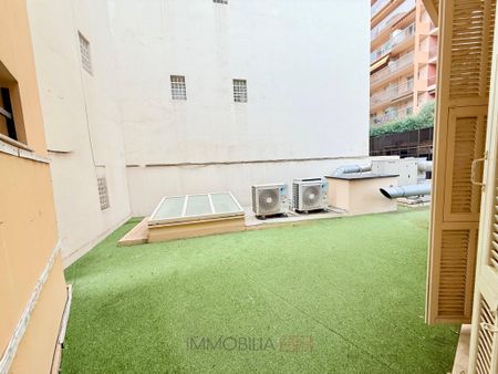 Location Appartement 2 pièces 36m² BEAUSOLEIL 06240 - Photo 3