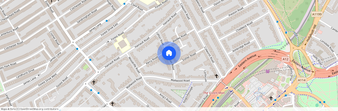 Lytton Rd, London E11 1JH, UK