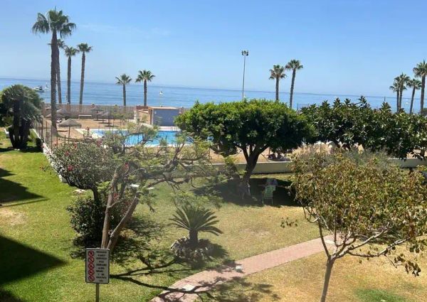 Algarrobo