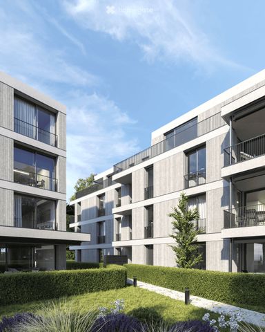 Exklusive 3.5-Zimmer-Neubauwohnung mit Terrasse und Garten in Bad Zurzach - Photo 2