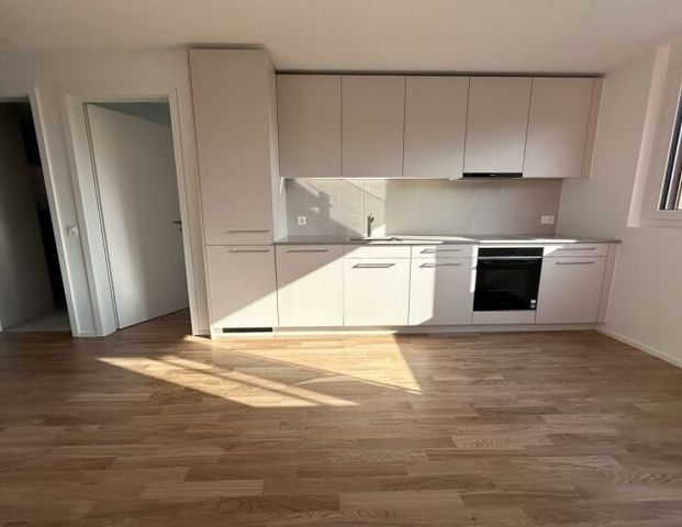 ALBIS276 - Living in style on the Uetliberg. - Photo 1