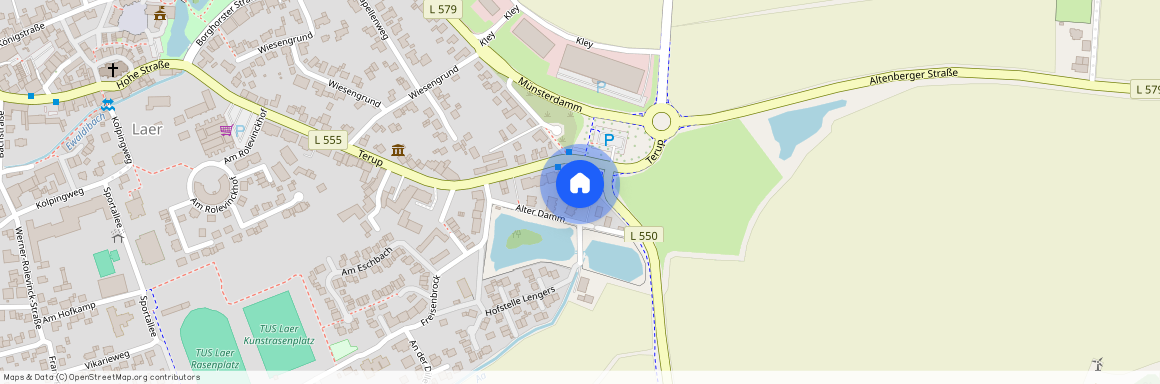 Alter Damm 7, 48366 Laer
