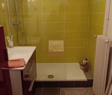 LOCATION MEUBLEE APPARTEMENT 3 PIECES AIX NORD BELLEGARDE - Photo 4