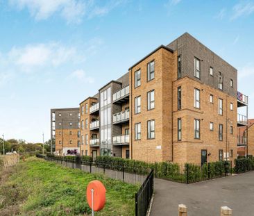3 Sparrow Street - Photo 3