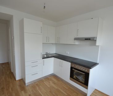 Zentrum – 40m² – 2 Zimmer – ideal für Studenten – großer Balkon - Photo 4