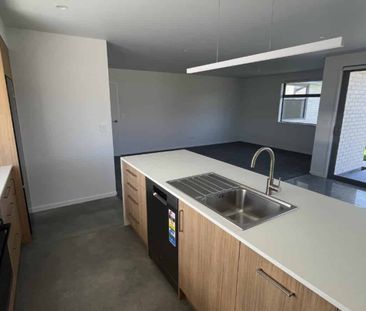 Brand new 3 bedroom in Vogeltown - Photo 5