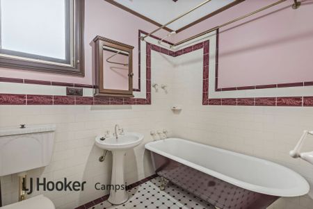 Tranquil Family Oasis in Prized Local - Photo 5