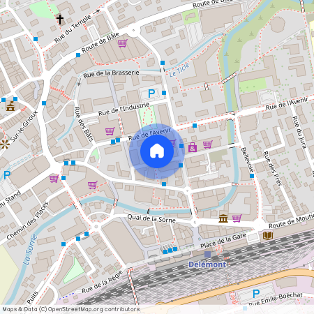 Rue Pré-Guillaume 11, 2800 Delémont