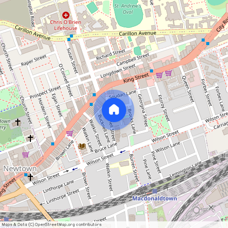 6 Bucknell Street, Newtown NSW 2042