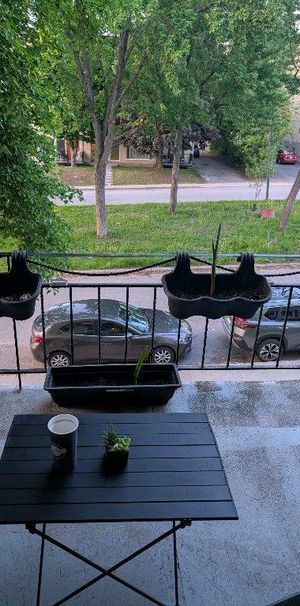 appartement 6 1/2 à louer - Photo 1