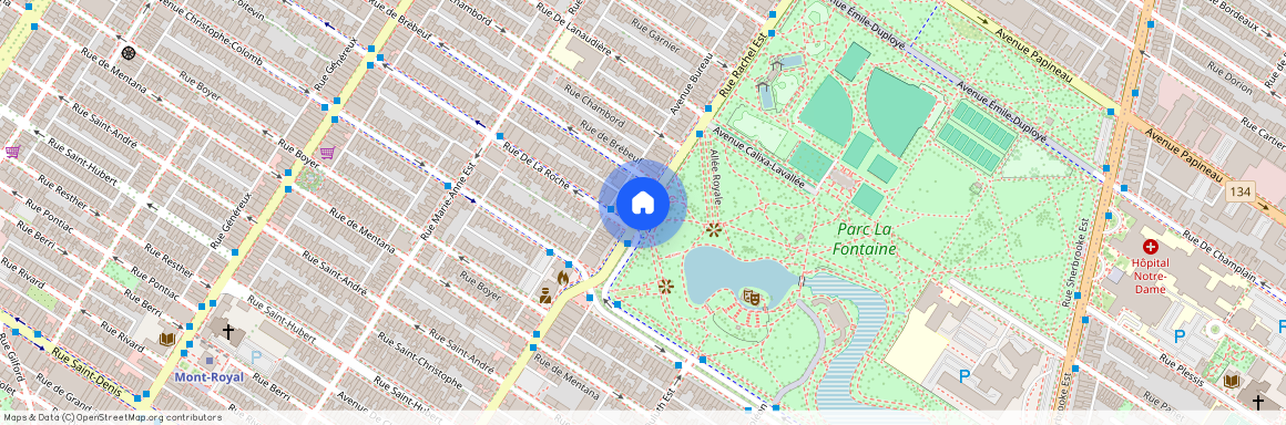 Rue Rachel Est, Montreal