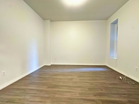 1251 Rue St Marc, Montréal (Ville-Marie), QC H3H - Photo 4