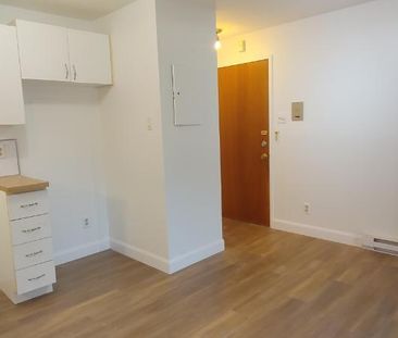 Grand 4½ à St-Romuald - Photo 2