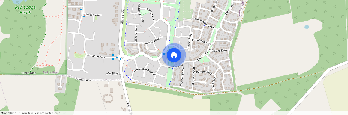 Tiger Flower Way, Red Lodge, IP28 8XU