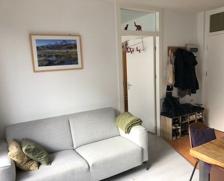 Appartement te huur aan de Wittevrouwensingel in Utrecht - Foto 2
