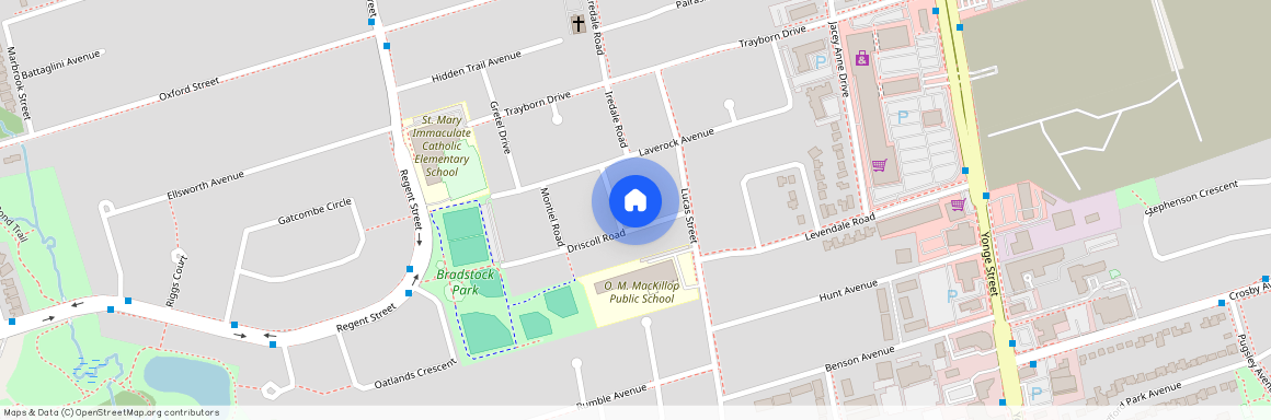 139 Driscoll Road Unit# Bsmt, Richmond Hill