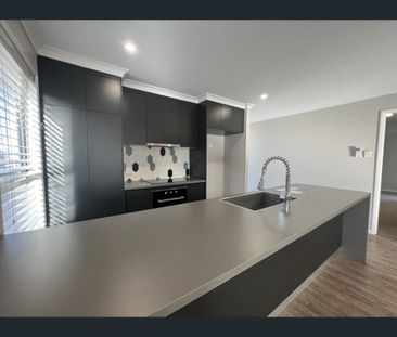 33 Joseph Court, Glenella, Qld 4740 - Photo 1