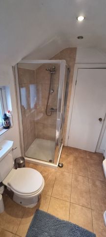 10 Meadowbank Place, Belfast BT9 7FF - Photo 4