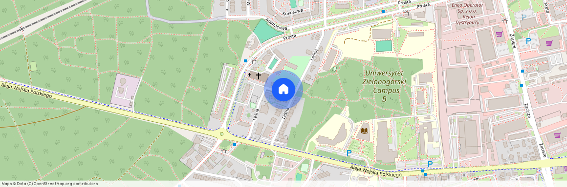 ul. Leśny Dwór, Centrum, Zielona Góra, lubuskie