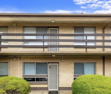 Modern First-Floor Unit in Leafy Daw Park - Photo 5