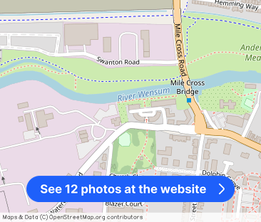 White Swan Walk, NR2 - Photo 1