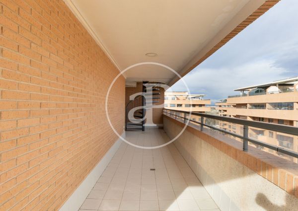 Penthouse for rent with Terrace in Patacona (Alboraya)